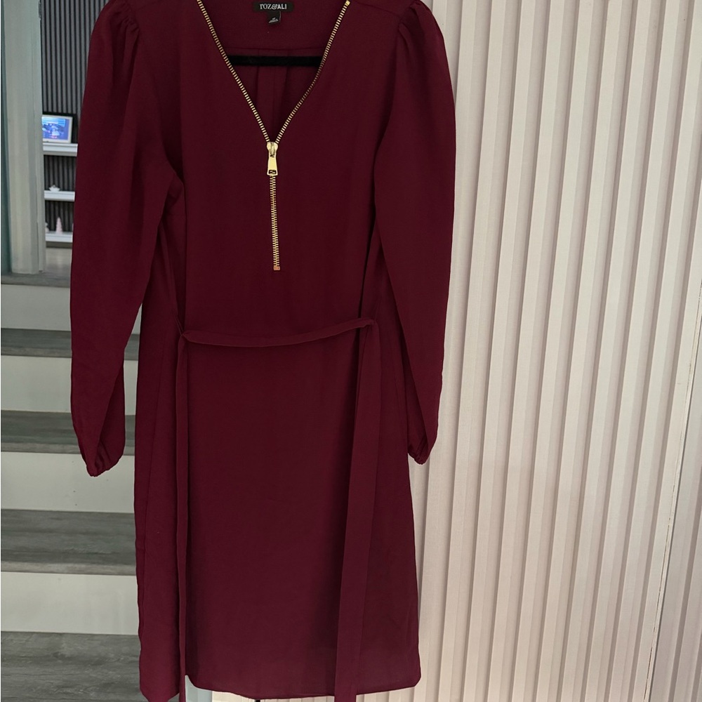 Roz & Ali Burgundy Long Sleeve Dress with Gold Zipper